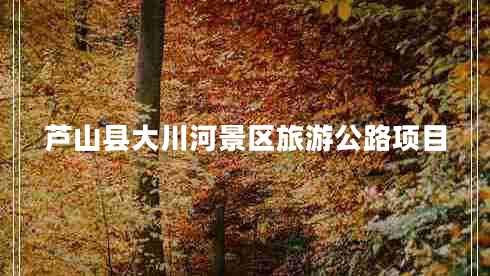 蘆山縣大川河景區旅游公路項目