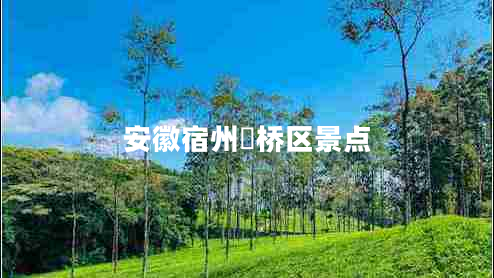 安徽宿州埇橋區景點(diǎn)