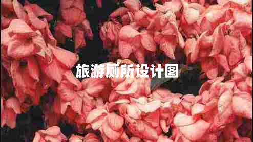 旅游廁所設計圖