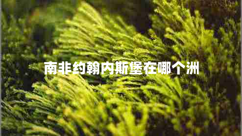 南非約翰內斯堡在哪個(gè)洲