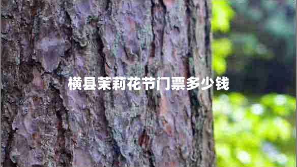 橫縣茉莉花節門(mén)票多少錢(qián)