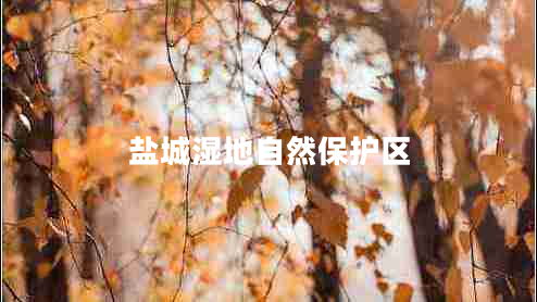 鹽城濕地自然保護區