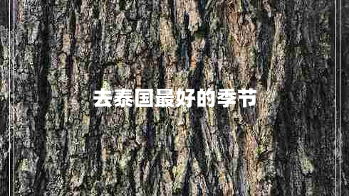 去泰國最好的季節