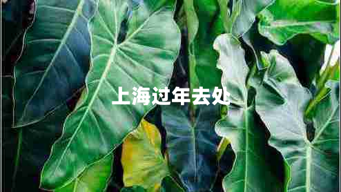 上海過(guò)年去處