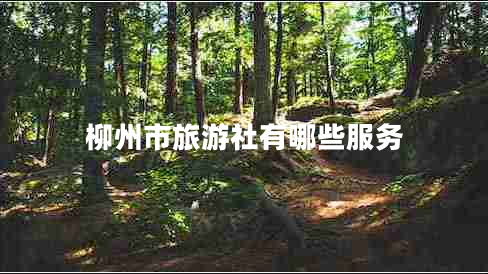 柳州市旅游社有哪些服務(wù)