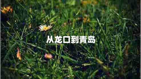 從龍口到青島