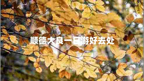 順德大良一日游好去處