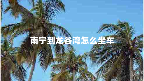 南寧到龍谷灣怎么坐車(chē)