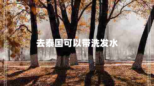 去泰國可以帶洗發(fā)水