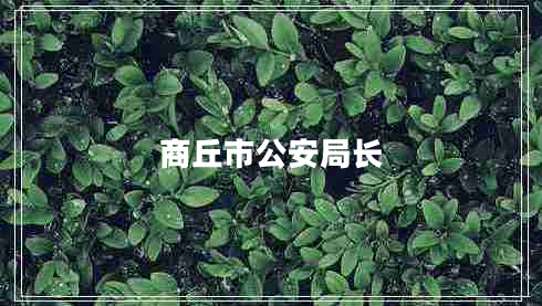 商丘市公安局長(cháng)