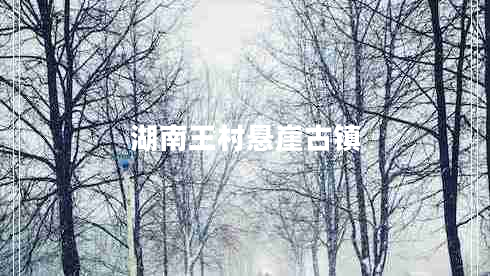 湖南王村懸崖古鎮