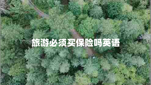 旅游必須買(mǎi)保險嗎英語(yǔ)