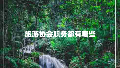 旅游協(xié)會(huì )職務(wù)都有哪些