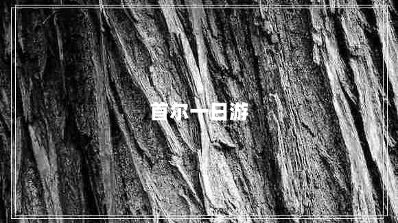 首爾一日游