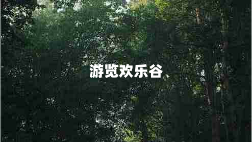 游覽歡樂(lè )谷