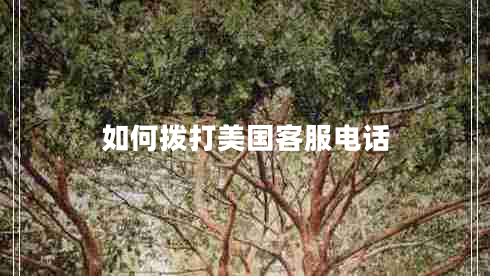 如何撥打美國客服電話(huà)
