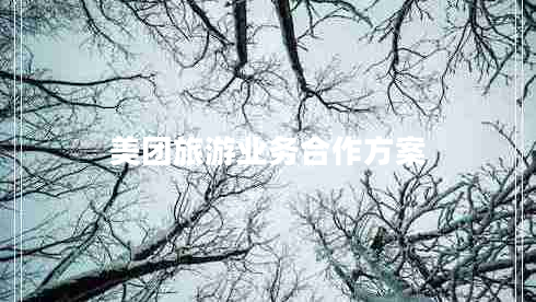 美團旅游業(yè)務(wù)合作方案
