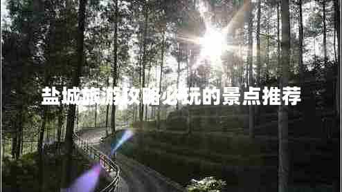 鹽城旅游攻略必玩的景點(diǎn)推薦