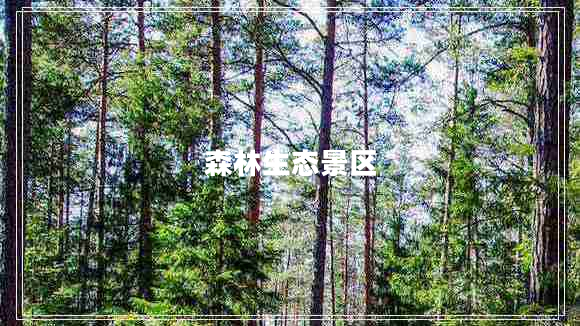 森林生態(tài)景區