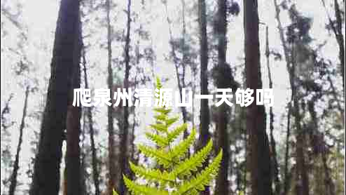 爬泉州清源山一天夠嗎