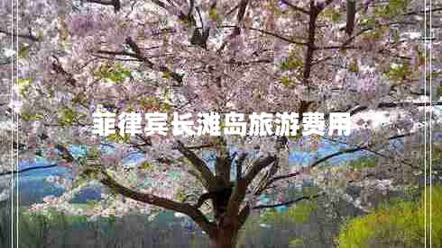 菲律賓長灘島旅游費用