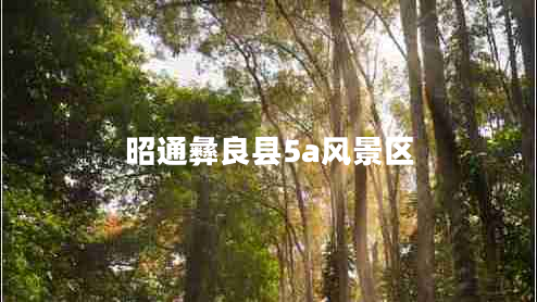 昭通彝良縣5a風(fēng)景區
