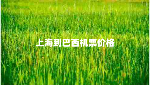 上海到巴西機票價(jià)格