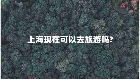 上海現在可以去旅游嗎?