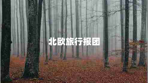 北歐旅行報團
