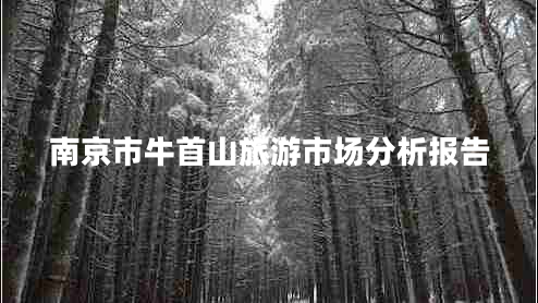 南京市牛首山旅游市場(chǎng)分析報告