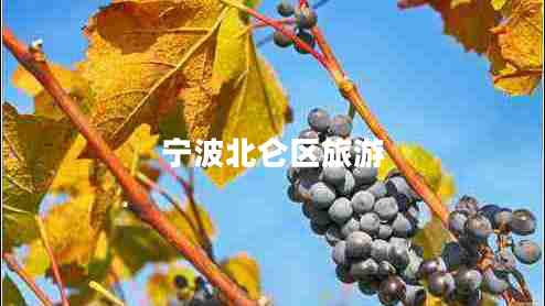 寧波北侖區旅游