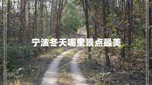 寧波冬天哪里景點(diǎn)最美