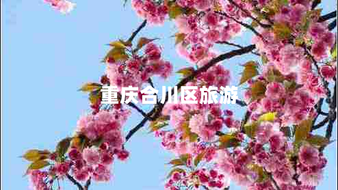 重慶合川區旅游