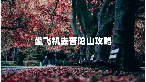 坐飛機去普陀山攻略
