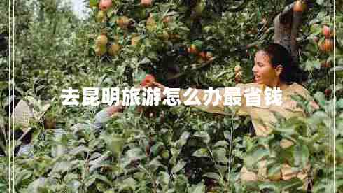去昆明旅游怎么辦最省錢(qián)
