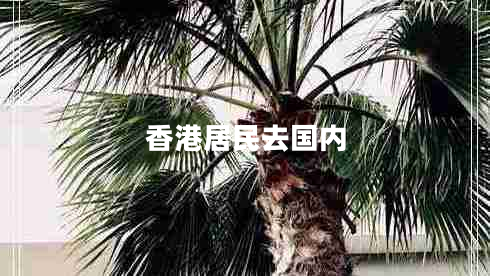 香港居民去國內