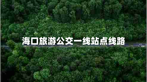 海口旅游公交一線(xiàn)站點(diǎn)線(xiàn)路