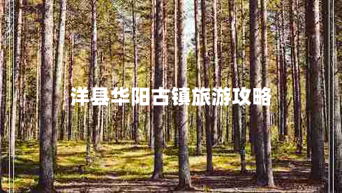 洋縣華陽(yáng)古鎮旅游攻略