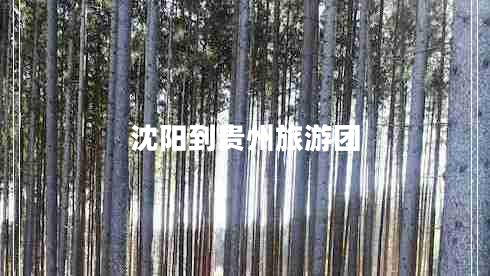 沈陽(yáng)到貴州旅游團