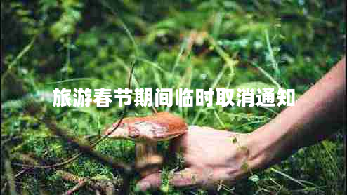旅游春節期間臨時(shí)取消通知