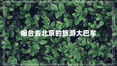 煙臺去北京的旅游大巴車(chē)