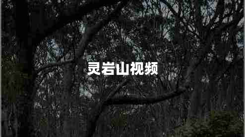 靈巖山視頻