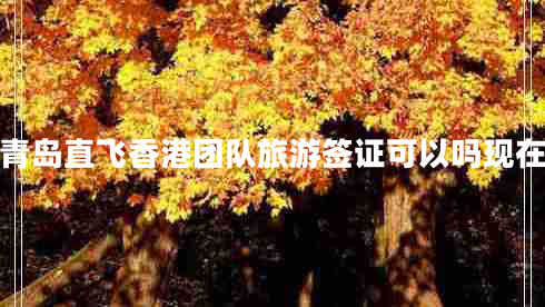 青島直飛香港團隊旅游簽證可以嗎現在