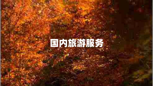 國內旅游服務(wù)
