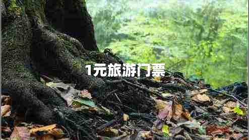 1元旅游門(mén)票