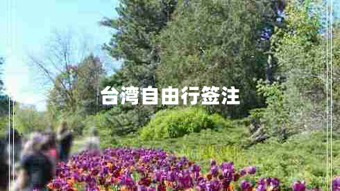 臺灣自由行簽注