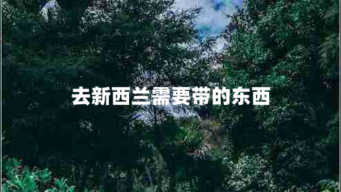 去新西蘭需要帶的東西