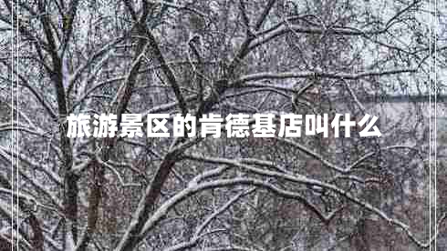 旅游景區的肯德基店叫什么