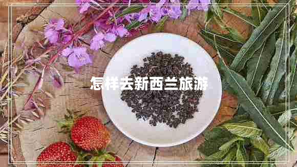 怎樣去新西蘭旅游