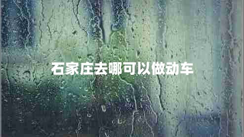 石家莊去哪可以做動(dòng)車(chē)